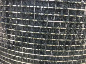 biofilm03