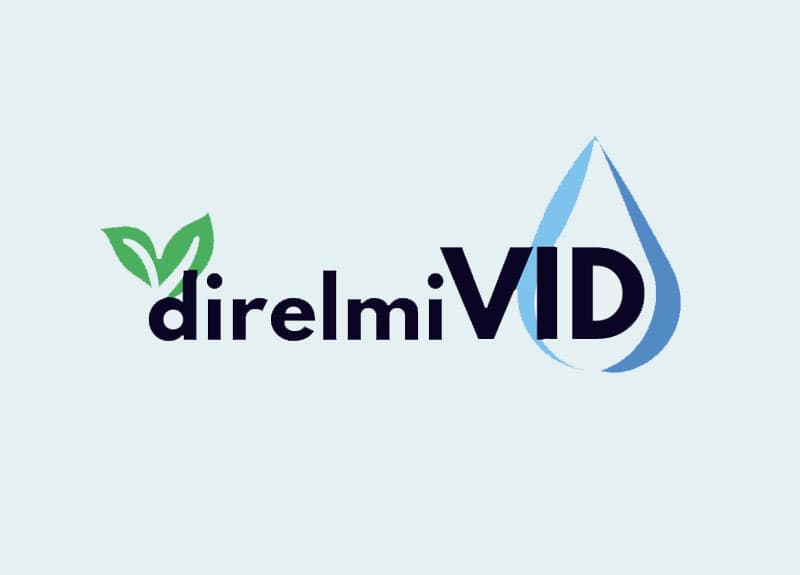 logo DirelmiVid