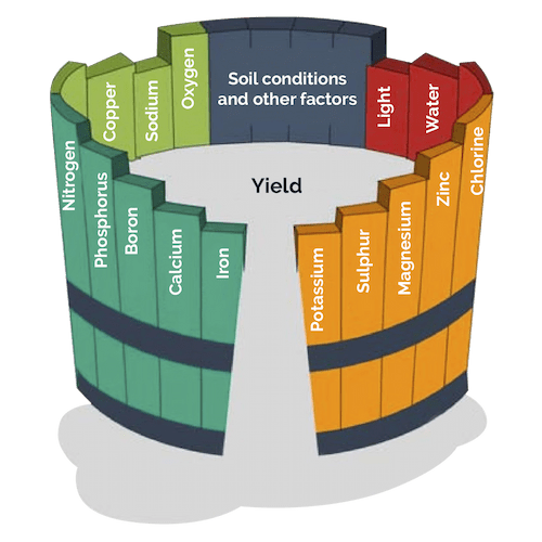 Plan nutrition elements