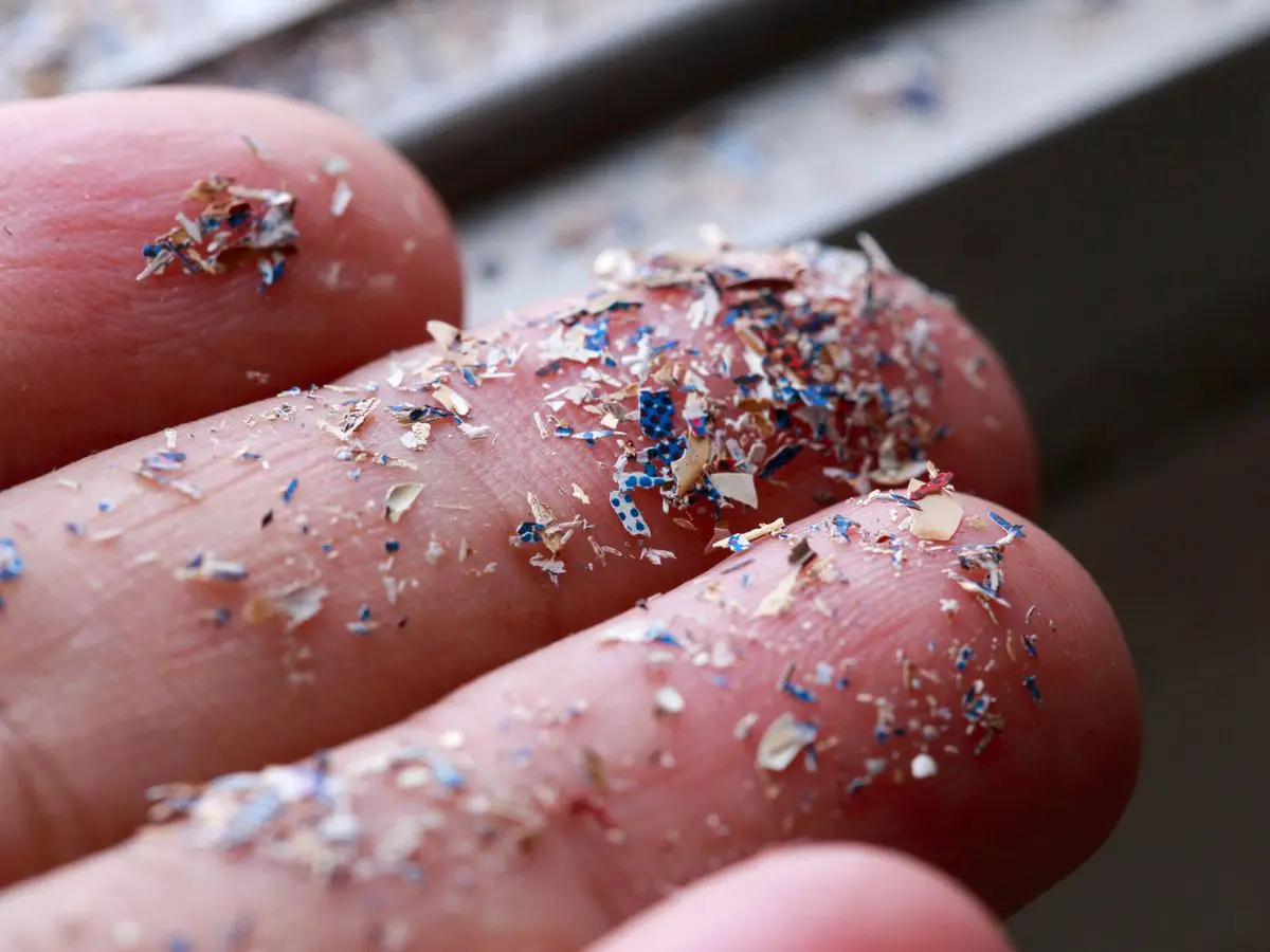 The Impact of Microplastics on Health