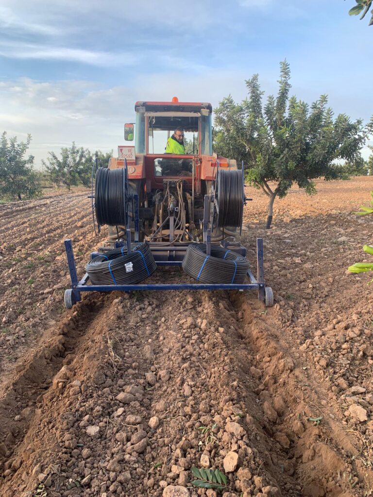 riego por goteo subterráneo algarrobo